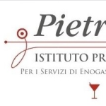 banner Istituto Pietro Piazza