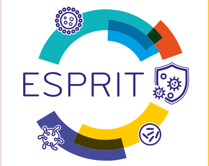 Progetto Esprit